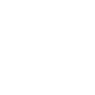White Icon Systems Integration & IT Services